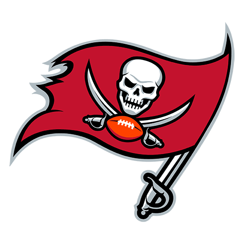 Tampa Bay Buccaneers team logo